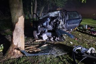 Rabinówka. Pijana 22-latka bez prawa jazdy uderzyła w ogrodzenie i drzewo