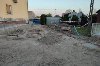 Ogród wertykalny w Kamionce