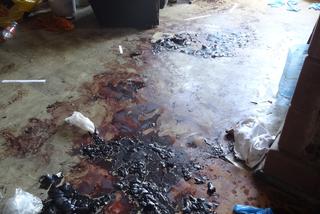 KOBIETA ZARŻNĘŁA KOCHANKA.