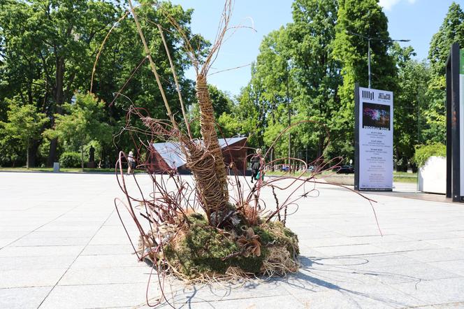 Weekend z florystyką w Lublinie. Zobacz imponujące roślinne instalacje w centrum miasta!