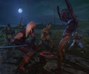 The Witcher: Enhanced Edition Director's Cut - screeny z gry