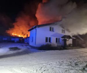 Pożar kurnika połączonego z budynkiem mieszkalnym pod Gorzowem