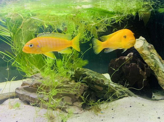 Rozmawiamy z Tomaszem Wiśniewskim, założycielem Aqua Dreams Bydgoszcz