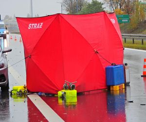 Zwłoki na drodze w Tarczynie. Policja szuka świadków