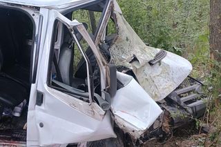 Bus rozbił się na drzewie. Wielu poszkodowanych, śmigłowiec LPR w akcji