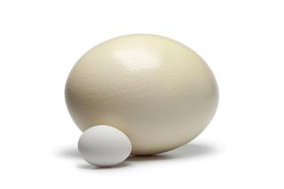 Faszerowane jajo strusie: pomysł na Wielkanoc