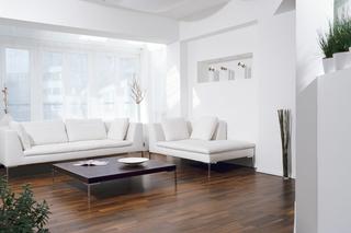 Biała sofa w salonie. Aranżacja salonu - ładne zdjęcia