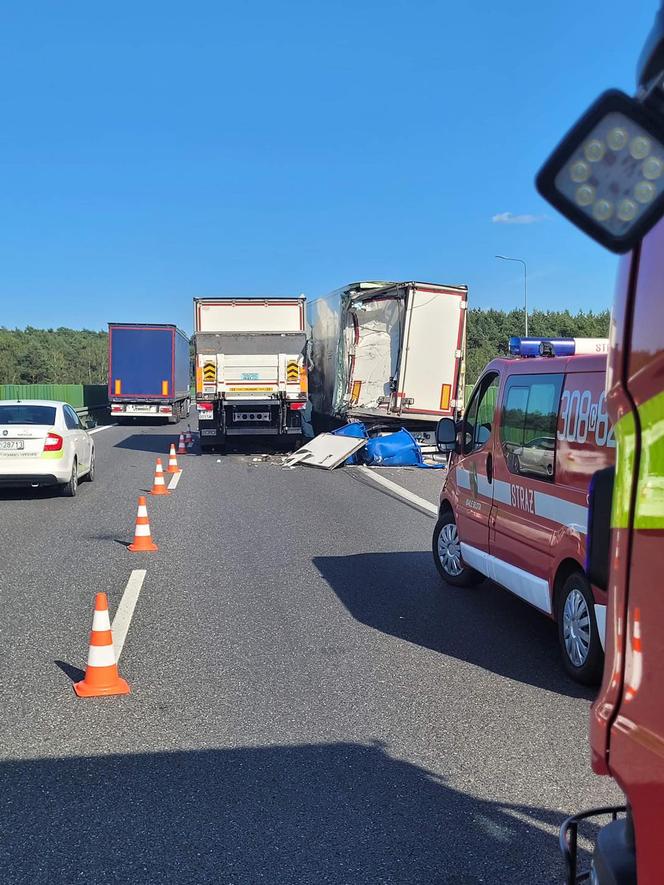 Zderzenie dwóch ciężarówek na S10 w Zielonce. Dwie osoby ranne [ZDJĘCIA]