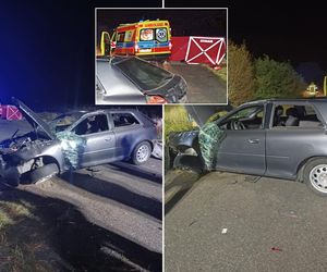 Zderzył się z sarną i wyleciał z auta! 36-latek zginął w wieczornej makabrze pod Bełchatowem [ZDJĘCIA, AKTUALIZACJA]