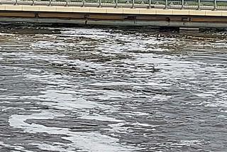 Alarm przeciwpowodziowy w Wąchocku. Burmistrz ogłosił alarm