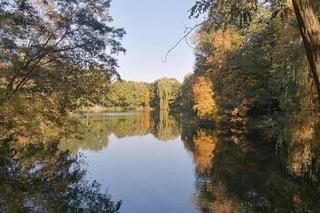 Zdjęcia Poznania od naszych Czytelników. Sprawdź te niesamowite ujęcia!