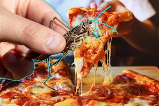Serwują swoim klientom pizzę z owadami! Toruńska restauracja intryguje wszystkich