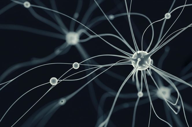 Sekret inteligencji odkryty. Jak jedno zdanie ujawnia geniusza?