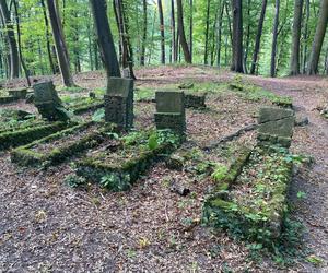 Opuszczony cmentarz w Łagowie. Zobacz jak wygląda