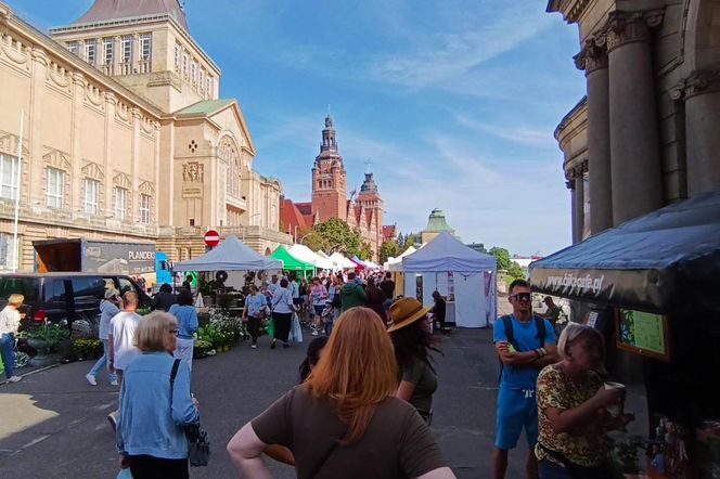 50. edycja kiermaszu "Pamiętajcie o ogrodach"