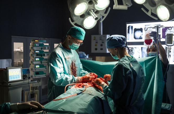 Diagnoza 4 sezon. Michał Wolski (Maciej Zakościelny), Dagmara (Aleksandra Adamska)