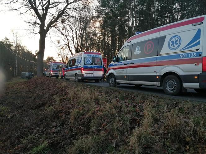 Wypadek na trasie Pilec - Święta Lipka. Siedem osób trafiło do szpitala [FOTO]
