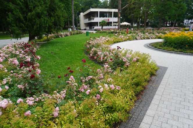 Park Zdrojowy w Busku