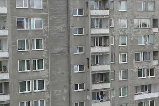 Nowy Dwór Maz. ZWŁOKI dwóch mężczyzn znalezione niedaleko siebie! I to tego samego dnia!