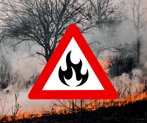Duże zagrożenie pożarowe w Polskich w lasach [MAPA]