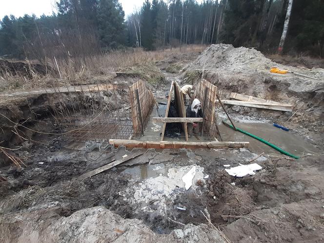 Na Warmii powstaje ptasie "El Dorado". Sztuczne wyspy przyciągną rybitwy [ZDJĘCIA]