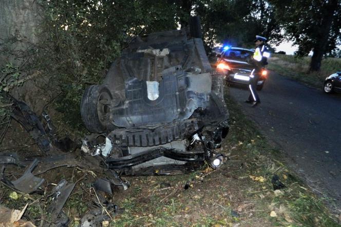 Dachowanie auta pod Szamotułami. 36-latka mocno przesadziła!