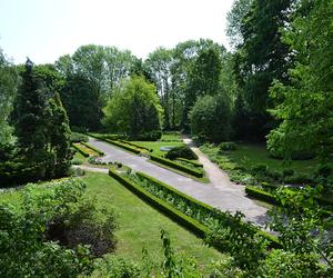 7 najładniejszych ogrodów botanicznych w Polsce. Kiedy je odwiedzić i gdzie są?