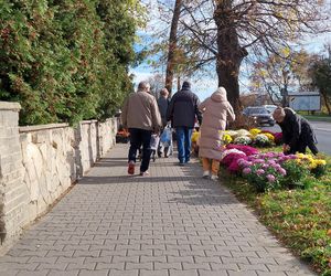 Przygotowania do Wszystkich Świętych Zamość