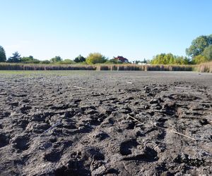 Wyschnięte Jeziorko Imielińskie w Warszawie
