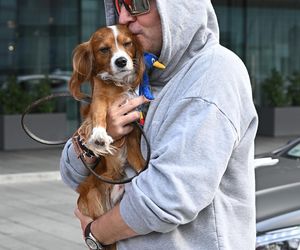 Krzysztof Gojdź przyleciał do Polski