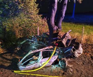 BMW uderzyło w drzewo i zapaliło się, Zginęła jedna osoba!