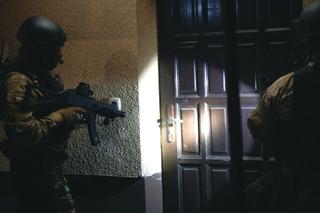 Upodobali sobie koreańskie i japońskie samochody. Zatrzymano 14 osób. Usłyszeli 150 zarzutów