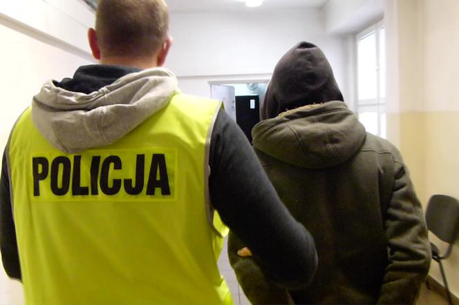 Podejrzani o podpalenia są w rękach policji