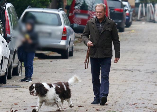 Donald Tusk na spacerze z Portosem