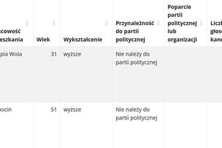 Jak głosowano w gminach powiatu piotrkowskiego? Znamy nazwiska burmistrzów i wójtów