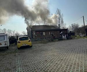 Ruszyła zbiórka na odbudowę budynku Muzeum Młynarstwa i Rolnictwa w Osiecznej. Zniszczył go ogień