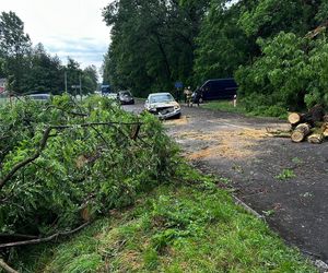 Potężne burze nad Polską. Drzewa spadały na samochody, setki interwencji straży pożarnej 