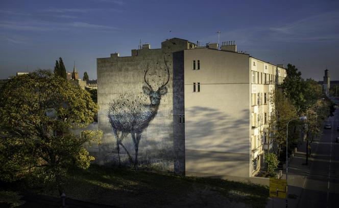 Mural przy Łąkowej 10