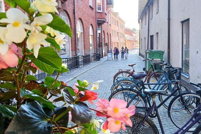 Ystad - malownicze szwedzkie miasteczko nad Bałtykiem