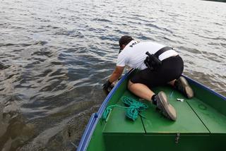 Nietypowa interwencja policjantów z Katowic. Ratowali tonącego drapieżnika