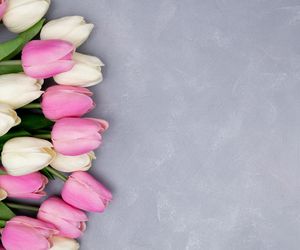 Życzenia na imieniny Krystyny 13.03.2025. Mamy darmowe wierszyki i rymowanki dla Krysi! Zobacz najlepsze propozycje [SMS, FACEBOOK]