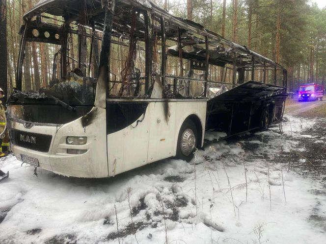 Pożar autobusu z przedszkolakami w Wielkopolsce! W pojeździe było 44 dzieci i 5 opiekunów