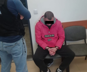 Specjalizował się w japońskich autach. Złodziej samochodów trafił w ręce policji
