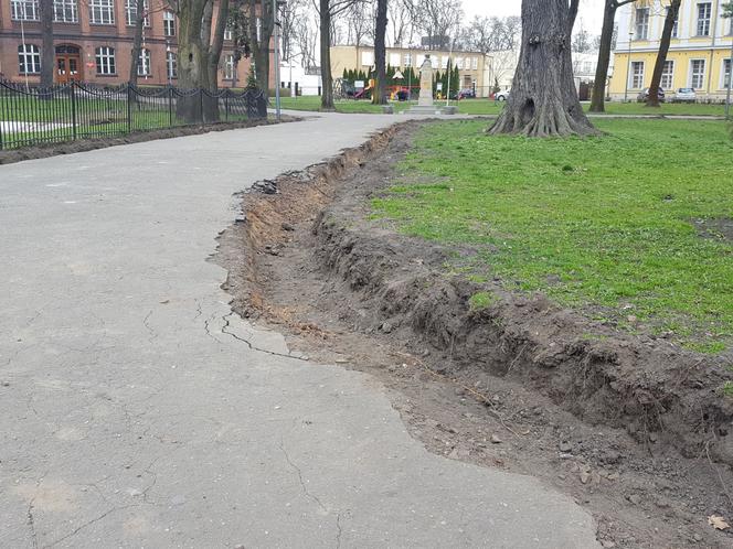 Zmiany w Parku Kościuszki w Lesznie