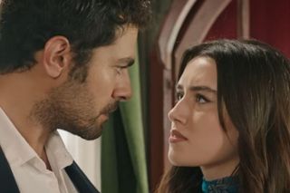 Wichrowe wzgórze odc. 259