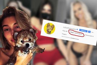 Pies Justina Biebera zawstydza modelki z Instagrama. Oscar Bieber ma już MILION fanów!