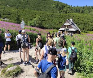 Tłumy turystów na Tatry. Popularne szlaki przeżywają prawdziwe oblężenie