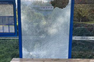 W Krakowie coraz częściej dochodzi do dewastacji przestanków