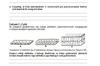 Matura 2013 biologia p. podstawowy