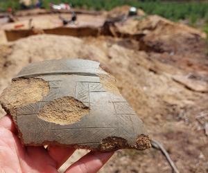 Niezwykłe odkrycie archeologiczne w Osiu pod Świeciem. W lesie jest cmentarzysko starożytnych Gotów